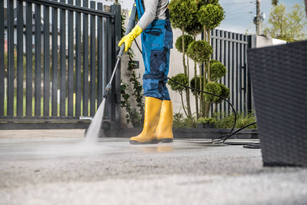 Best Animal Enclosure Cleaning  in Denver City, TX